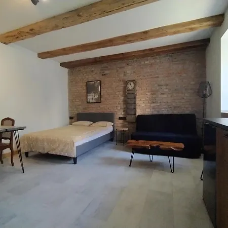 Apartament Motyl Lub Z Lazienka